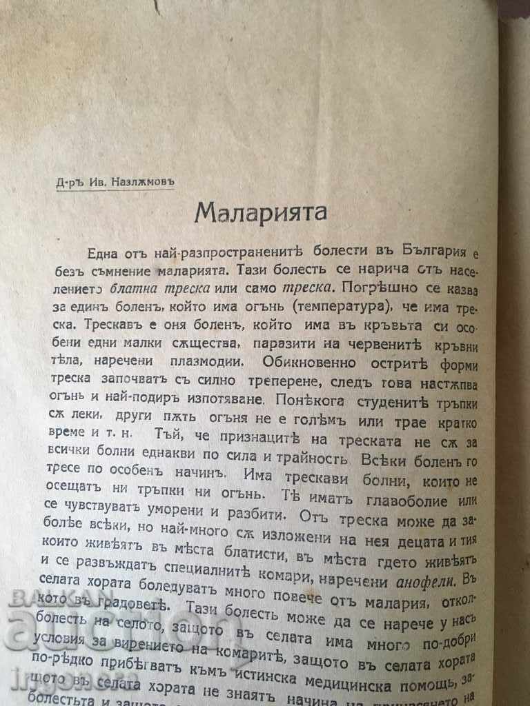 Licitație BULETIN INFORMATIV AL CRUCII ROȘII BULGARE DIN 1923