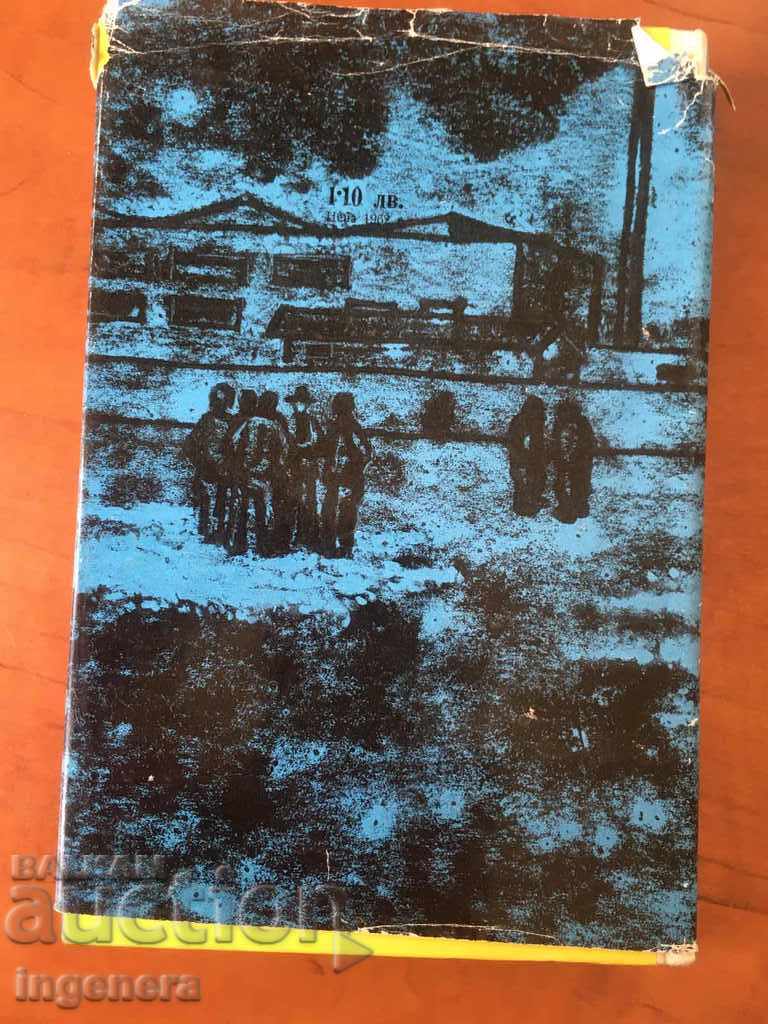 Auction BOOK UNDER THE ARGENTINE'S SKY-1962 Auction BOOK UNDER THE ARGENTINE'S SKY-1962