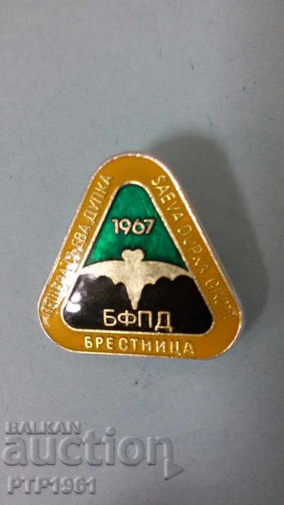 cave badge cave badge