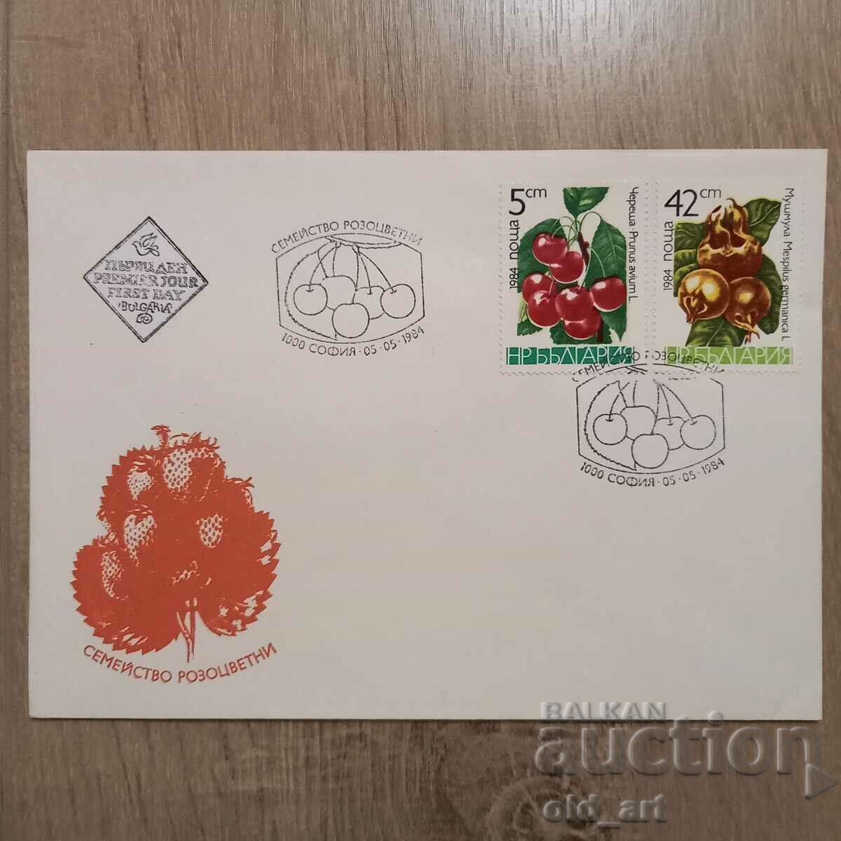 Mailing envelope - Rosy family