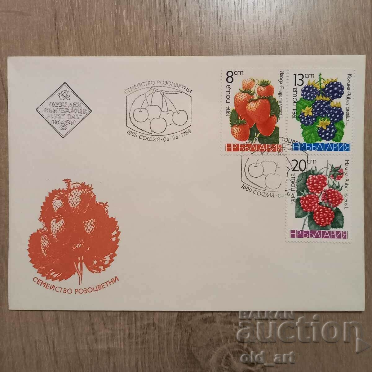Mailing envelope - Rosy family