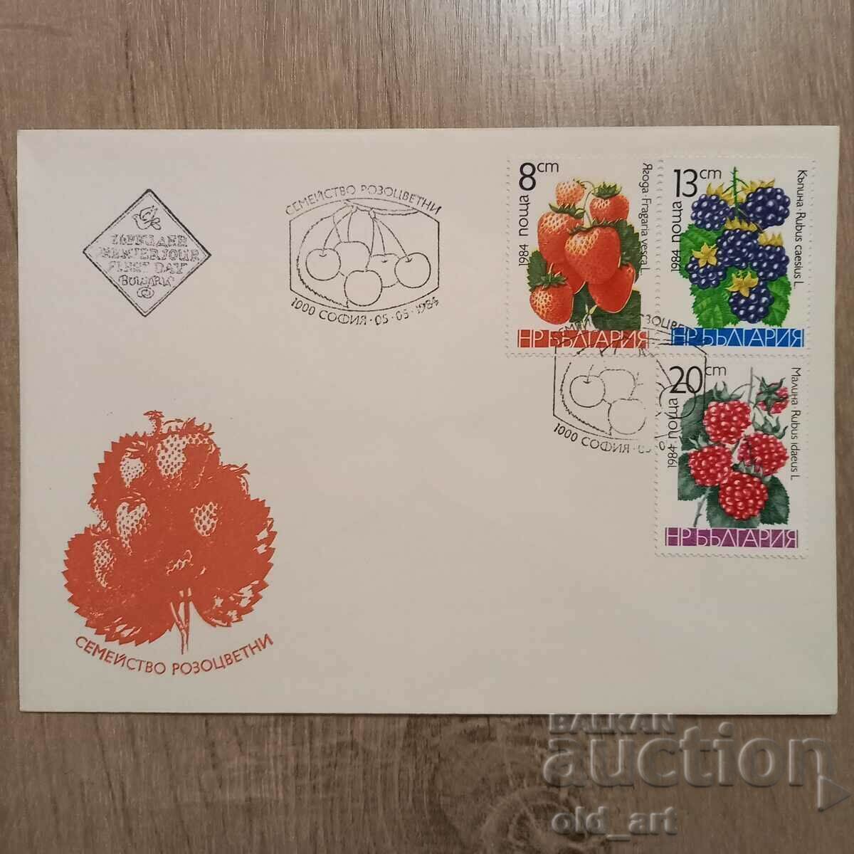 Plic de corespondență - Familia Rosy