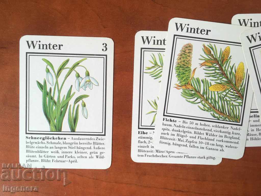 Auction CARDS ILLUSTRATIVE EDUCATIONAL COLLECTION Auction CARDS ILLUSTRATIVE EDUCATIONAL COLLECTION