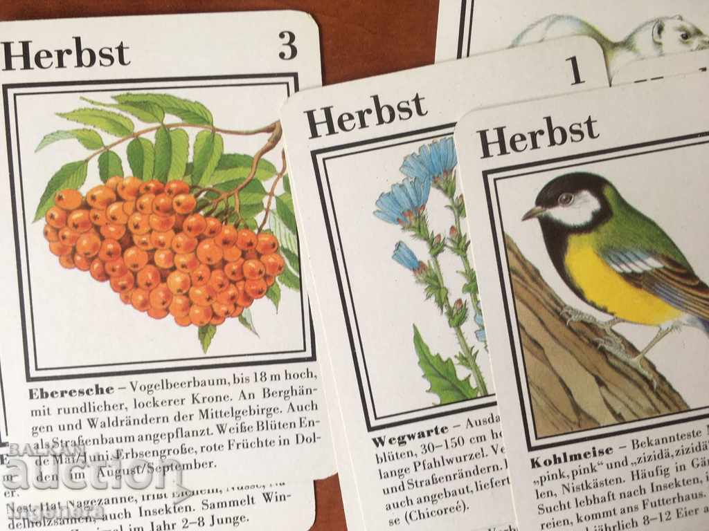 Delivery of CARDS ILLUSTRATIVE EDUCATIONAL COLLECTION Delivery of CARDS ILLUSTRATIVE EDUCATIONAL COLLECTION