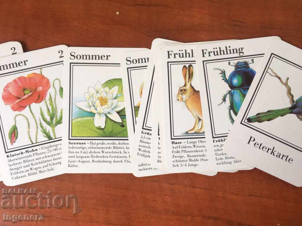 CARDS ILLUSTRATIVE EDUCATIONAL COLLECTION - 5 CARDS ILLUSTRATIVE EDUCATIONAL COLLECTION - 5