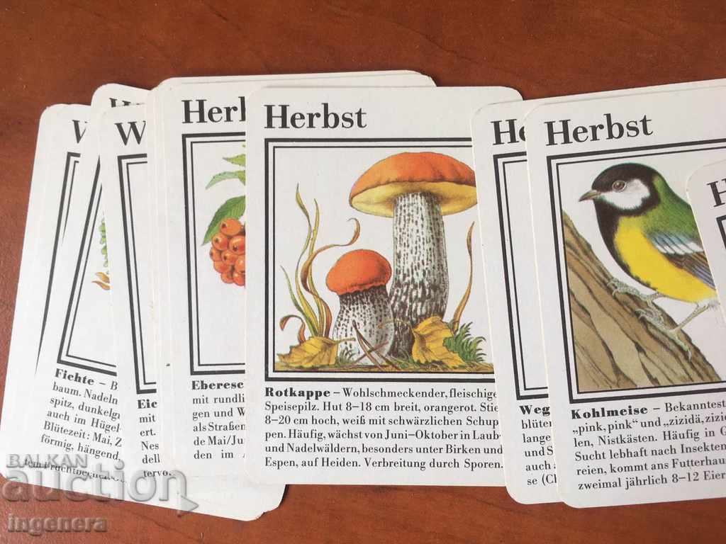 CARDS ILLUSTRATIVE EDUCATIONAL COLLECTION - 6 CARDS ILLUSTRATIVE EDUCATIONAL COLLECTION - 6