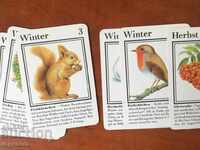 CARDS ILLUSTRATIVE EDUCATIONAL COLLECTION