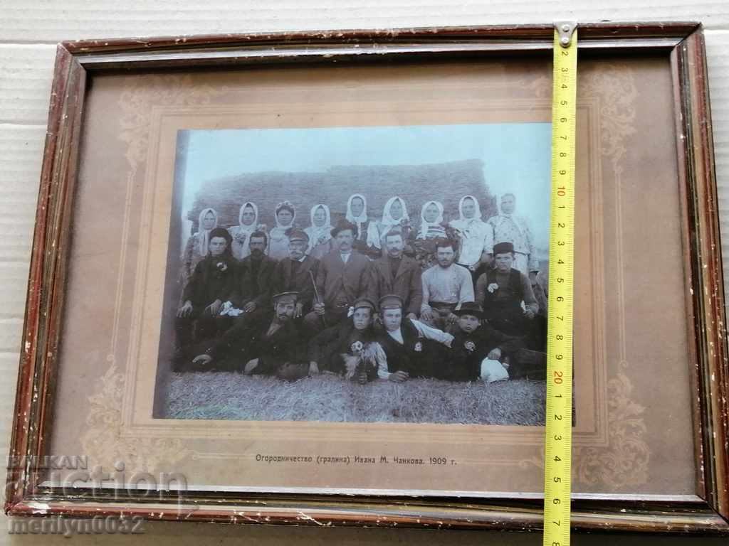 Delivery of Portrait of grandmother's ceilings picture photography gardeners Odessa