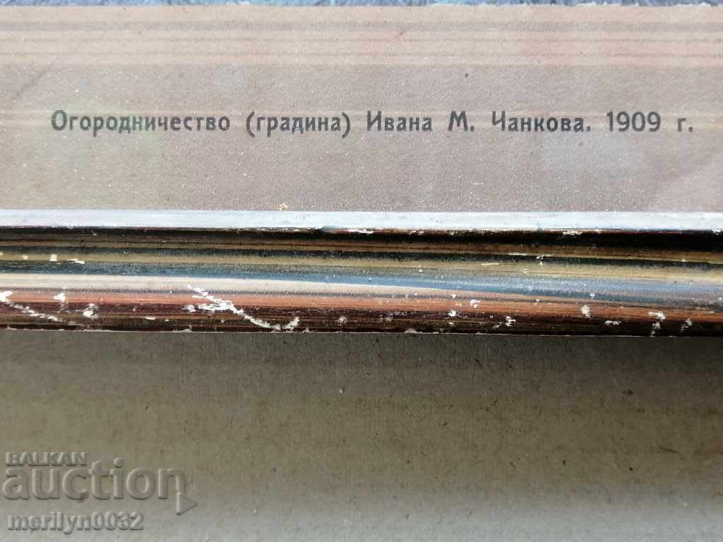 Portrait of grandmother's ceilings picture photography gardeners Odessa - 5