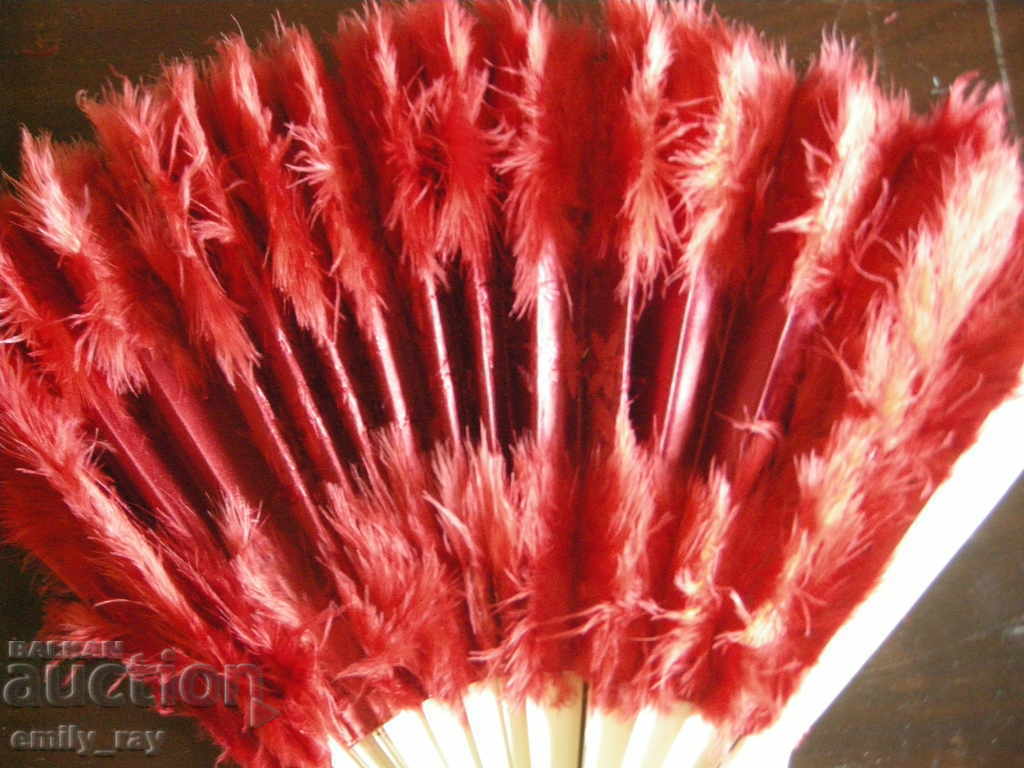 Livrarea O vela veche cu pene Livrarea O vela veche cu pene