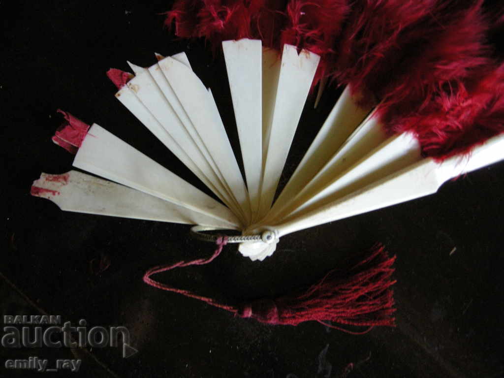 O vela veche cu pene - 6 O vela veche cu pene - 6