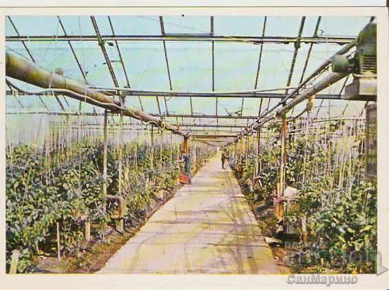 Card Bulgaria Svilengrad Greenhouses *