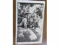 OLD PHOTO