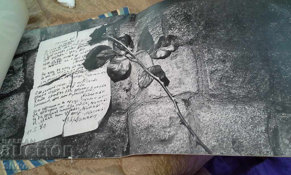 Delivery of Plate Lili Ivanova double album one record missing Delivery of Plate Lili Ivanova double album one record missing