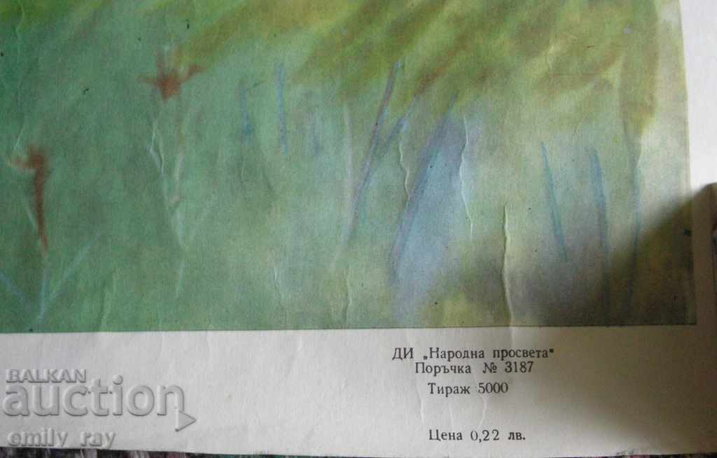 Доставка на Детска картина, рисунка - 2 бр. Доставка на Детска картина, рисунка - 2 бр.