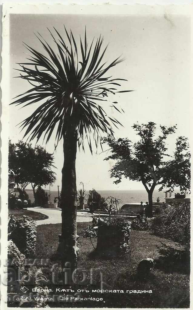 Old postcard, Varna, 1938