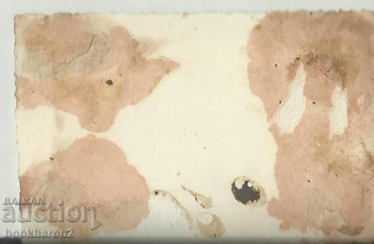 Стара снимка, м.ф., фара, Евксиноград с цена 5.00 лв. | € 2.56 Стара снимка, м.ф., фара, Евксиноград с цена 5.00 лв. | € 2.56