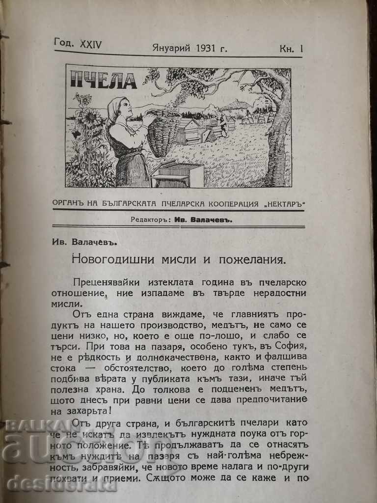 Auction Bee Magazine. 36 issues / 1930-1932 Auction Bee Magazine. 36 issues / 1930-1932