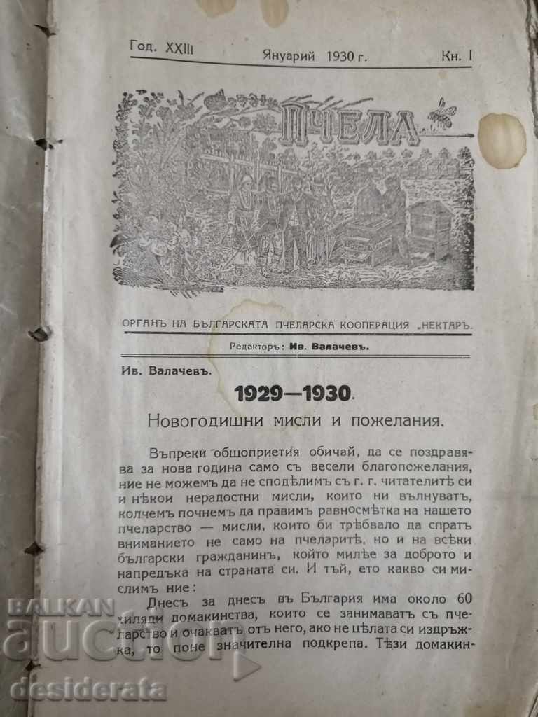 Delivery of Bee Magazine. 36 issues / 1930-1932 Delivery of Bee Magazine. 36 issues / 1930-1932