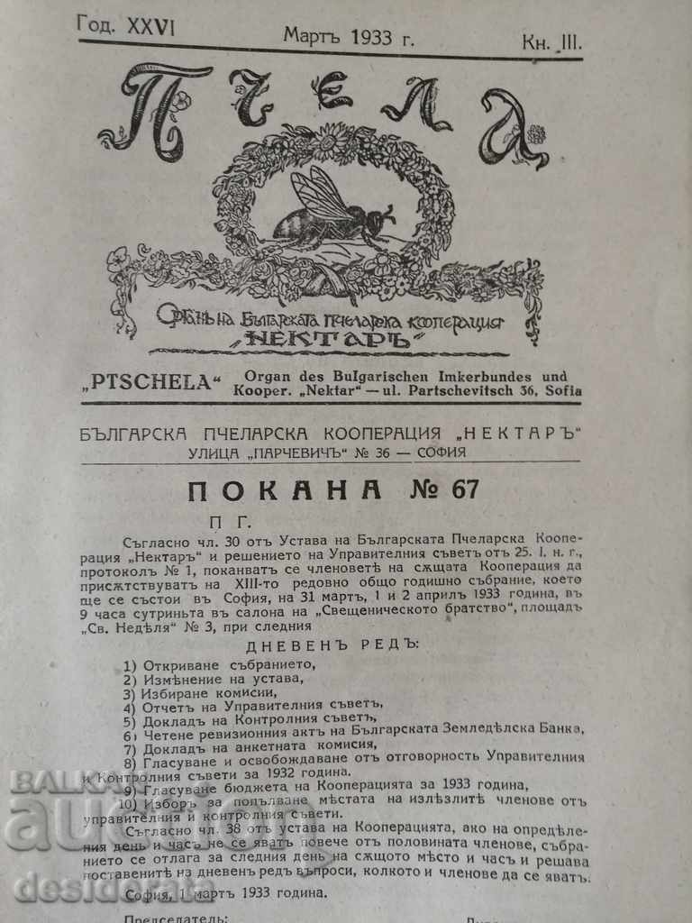 Bee Magazine - 12 books / 1933 with price 65.00 BGN | € 33.23