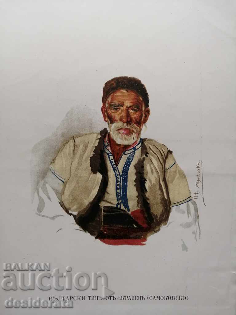 Morcov - cromolitografie - tip bulgar din satul Krapets
