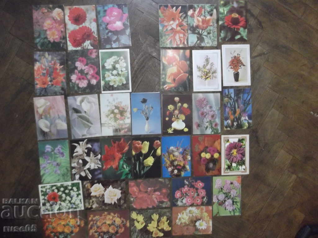 Lot of 35 pcs. postcards with flowers * with price 20.00 BGN | € 10.23 Lot of 35 pcs. postcards with flowers * with price 20.00 BGN | € 10.23