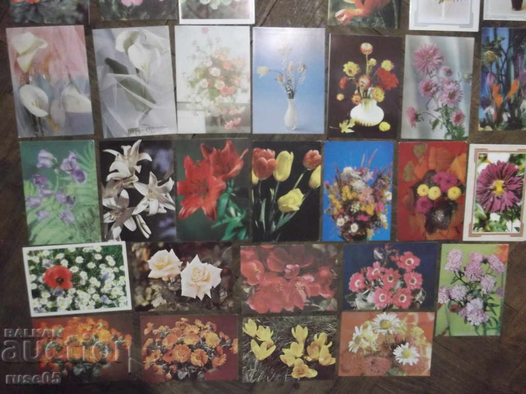 Delivery of Lot of 35 pcs. postcards with flowers * Delivery of Lot of 35 pcs. postcards with flowers *