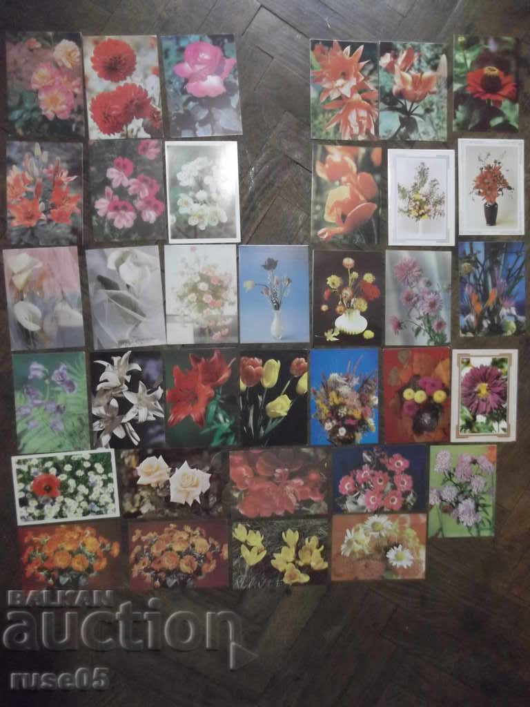 Lot de 35 buc. cărți poștale cu flori *