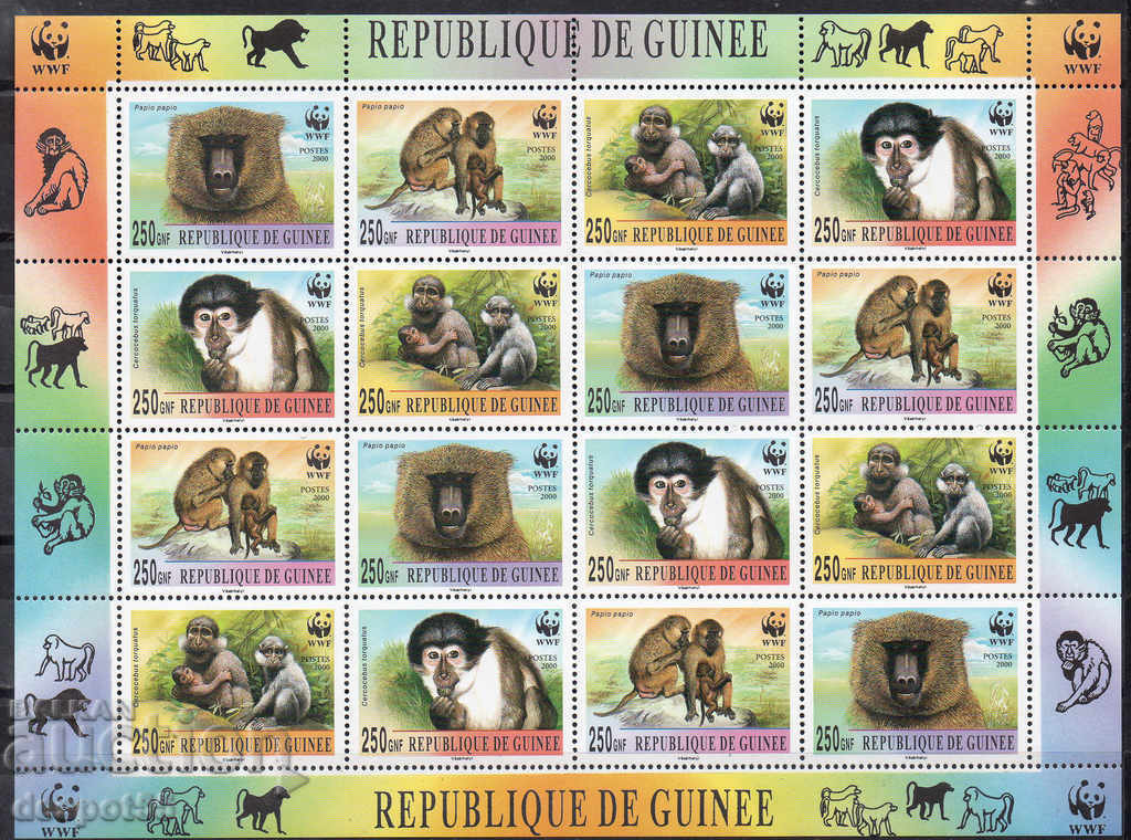 2000. Γουινέα. Μαϊμούδες. Αποκλεισμός.