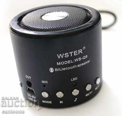 Difuzor wireless Bluetooth / wireless / radio / MP3 / AUX WS-Q9