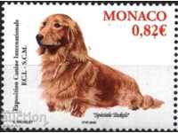 Fauna Dog 2005 pur de la Monaco