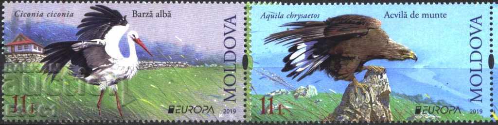 Pure Brands Europe SEPT Birds 2019 din Moldova