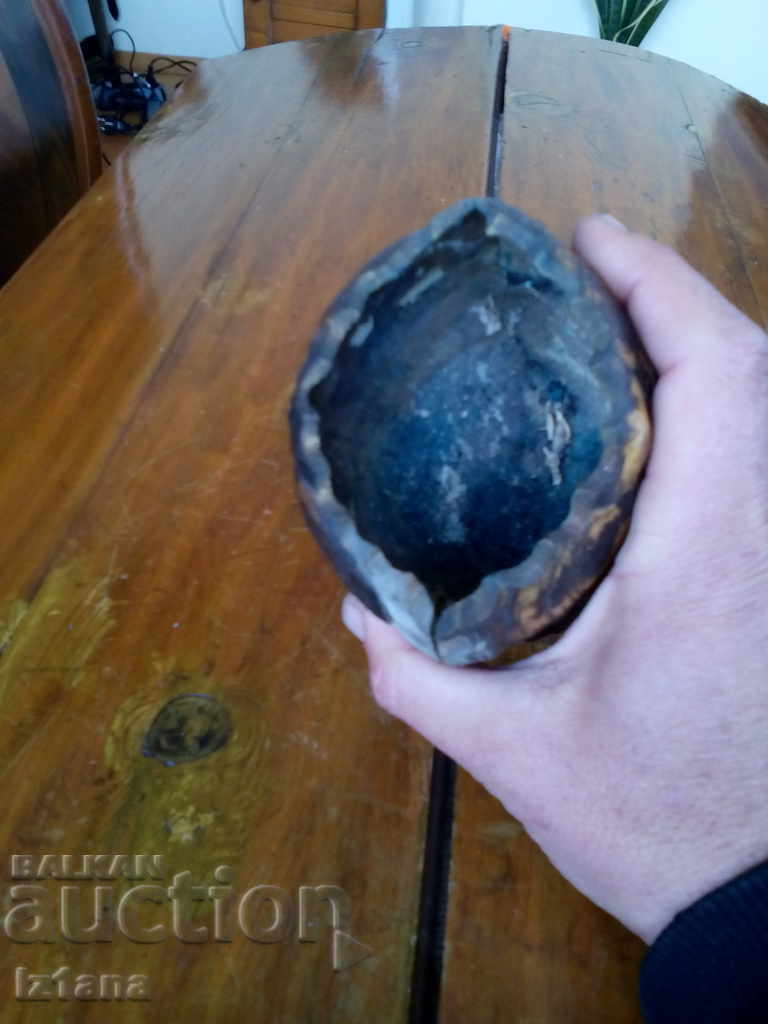 An old tortoise pencil - 5