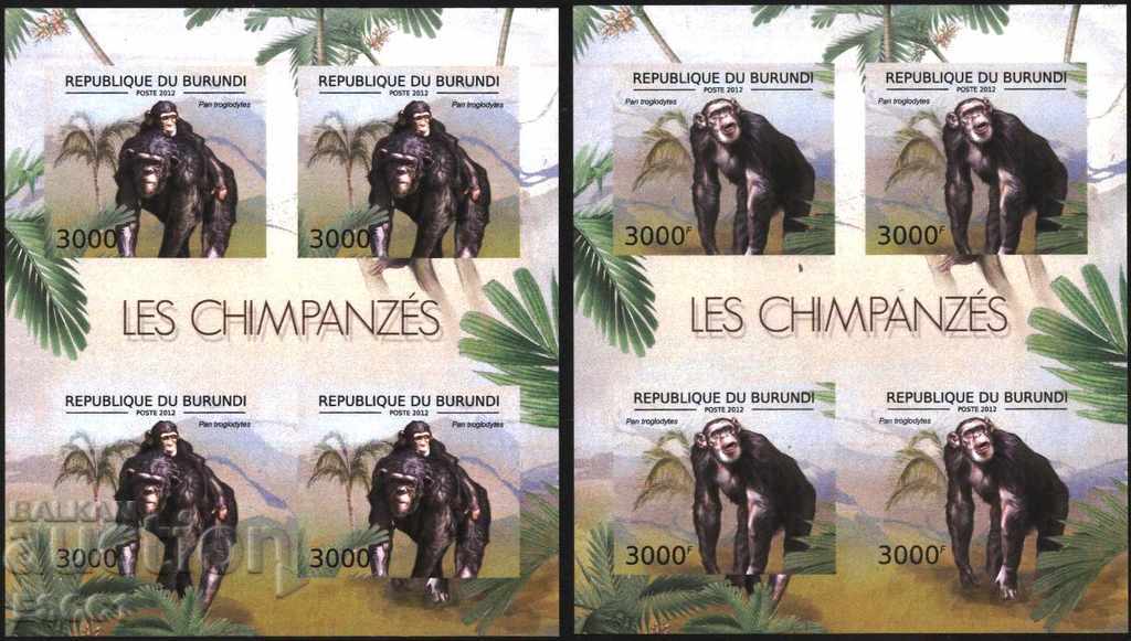 Pure Blocks Perforated Chimpanzee Monkeys 2012 Burundi with price 90.00 BGN | € 46.02 Pure Blocks Perforated Chimpanzee Monkeys 2012 Burundi with price 90.00 BGN | € 46.02