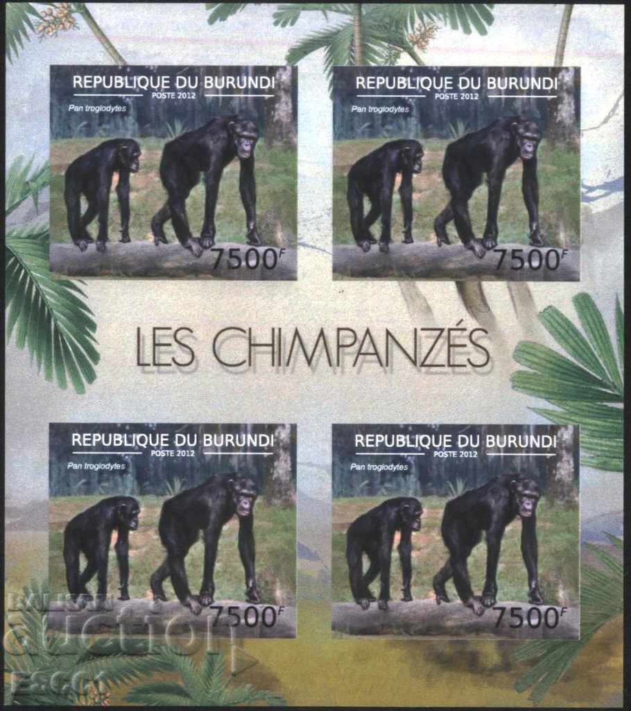 Delivery of Pure Blocks Perforated Chimpanzee Monkeys 2012 Burundi Delivery of Pure Blocks Perforated Chimpanzee Monkeys 2012 Burundi