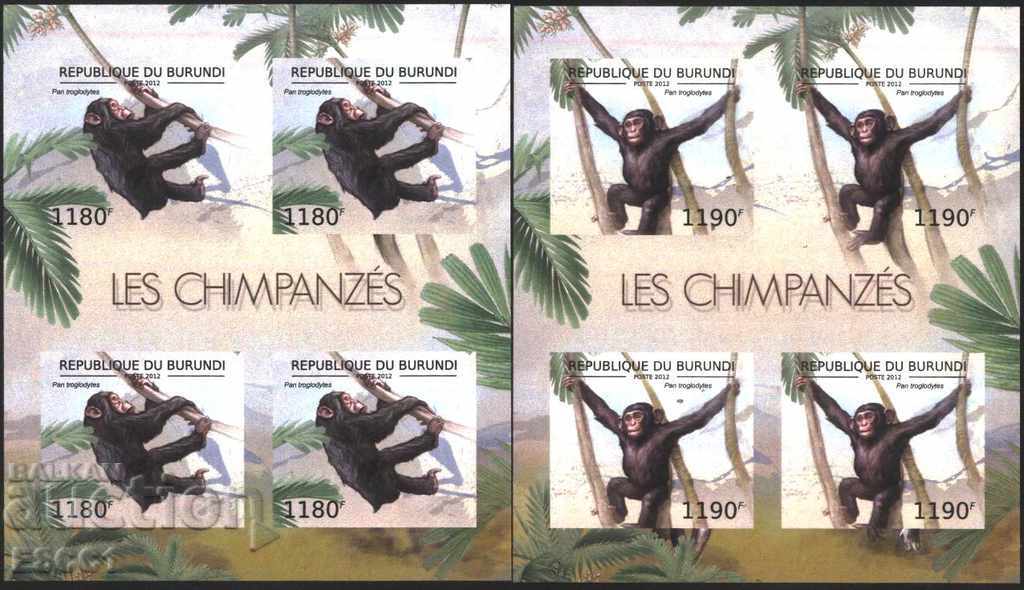 Pure Blocks Perforated Monkeys Gorilla 2012 Burundi with price 90.00 BGN | € 46.02 Pure Blocks Perforated Monkeys Gorilla 2012 Burundi with price 90.00 BGN | € 46.02