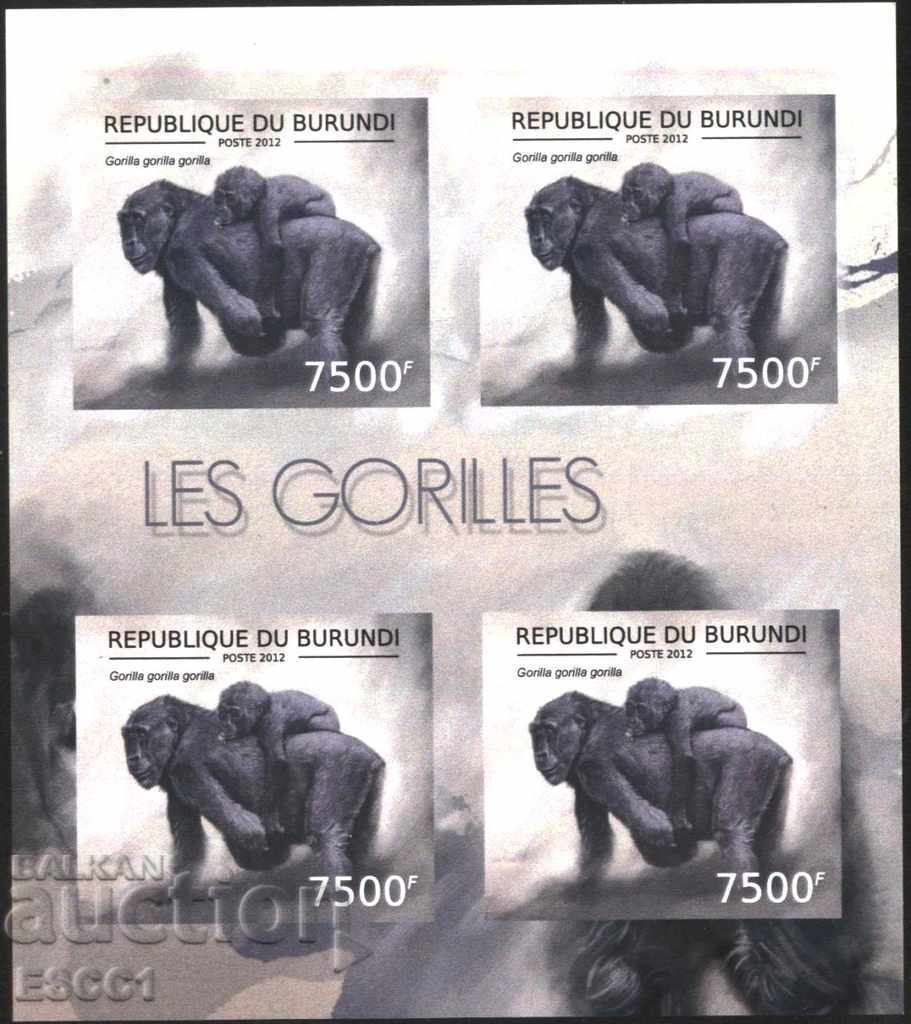 Delivery of Pure Blocks Perforated Monkeys Gorilla 2012 Burundi Delivery of Pure Blocks Perforated Monkeys Gorilla 2012 Burundi