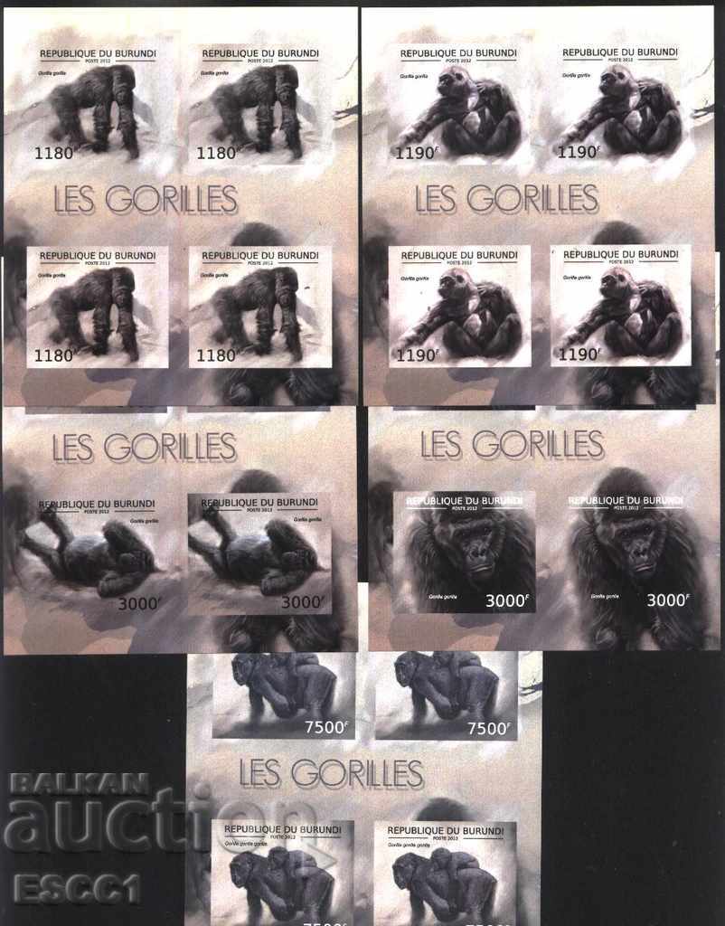 Pure Blocks διάτρητοι πίθηκοι Gorilla 2012 Μπουρούντι