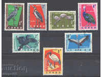1963. Congo, DR. Păsări protejate.