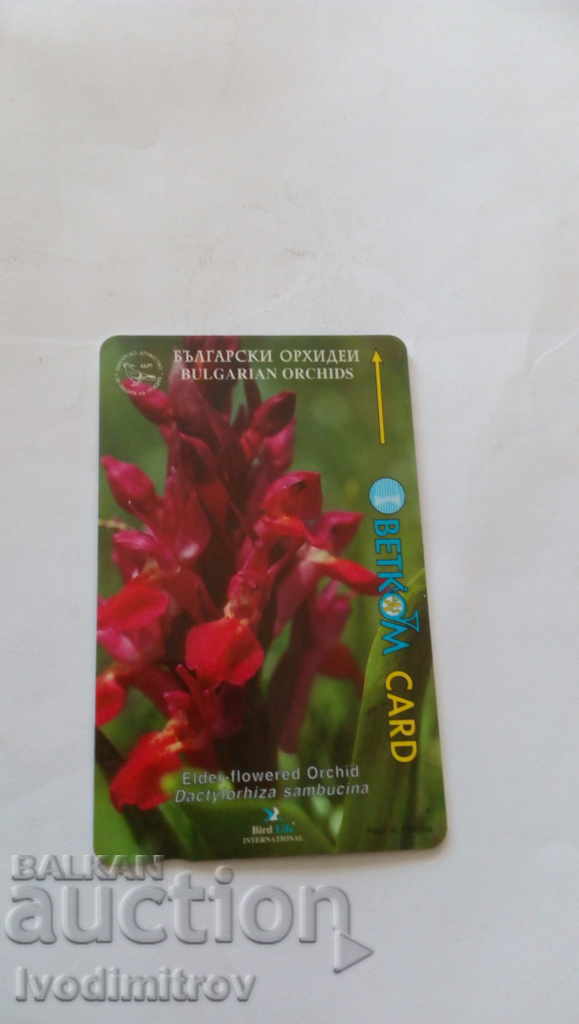 Phonecard Betkom Bulgarian orchids Dactylorhiza sambucina