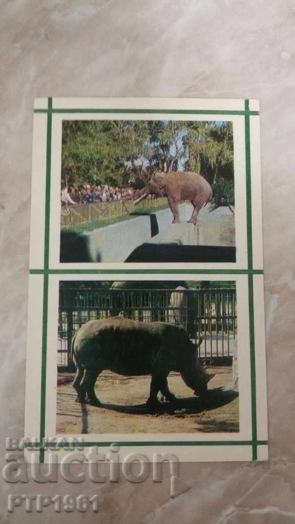 grădină zoologică