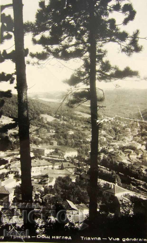 Auction OLD POSTAL CARD-MAY GENERAL APPEARANCE-1963 Auction OLD POSTAL CARD-MAY GENERAL APPEARANCE-1963