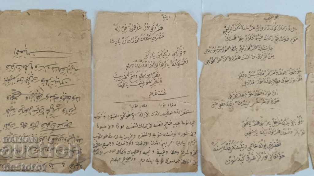 Calligraphy Pages / Hieroglyphs - 7 Calligraphy Pages / Hieroglyphs - 7