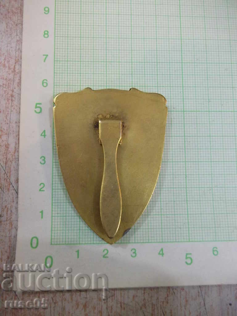 Delivery of Distinctive badge "City People's Council - Ruse" Delivery of Distinctive badge "City People's Council - Ruse"