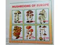 Sierra Leone - mushrooms