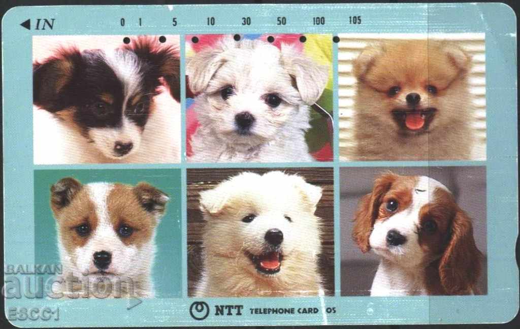 Câini Fauna cu telefon telefon din Japonia