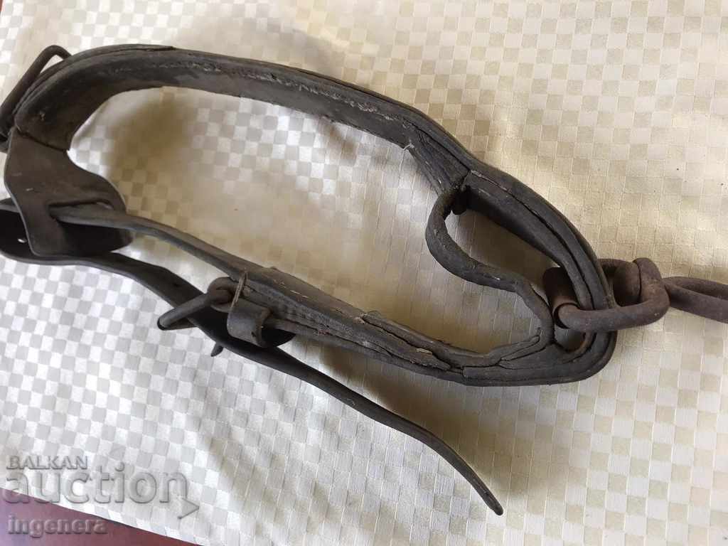 ΙΟΥΛΙΟΣ ΖΩΝΗ ΤΟΥ ΚΕΦΑΛΙΟΥ ΤΟΥ ΠΑΛΑΙΟΥ ΔΕΡΜΑΤΟΣ ΜΕΓΑΛΟ - 5 ΙΟΥΛΙΟΣ ΖΩΝΗ ΤΟΥ ΚΕΦΑΛΙΟΥ ΤΟΥ ΠΑΛΑΙΟΥ ΔΕΡΜΑΤΟΣ ΜΕΓΑΛΟ - 5