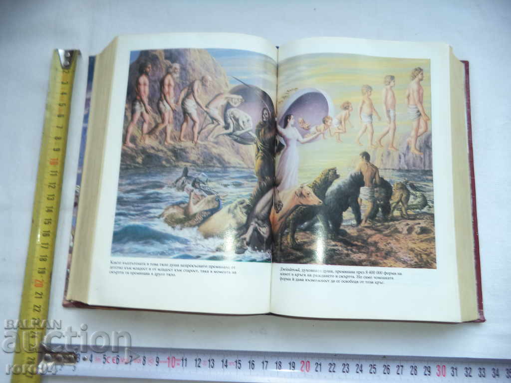 READ BOOKS - "REMAIN AT HOME" - 6 READ BOOKS - "REMAIN AT HOME" - 6