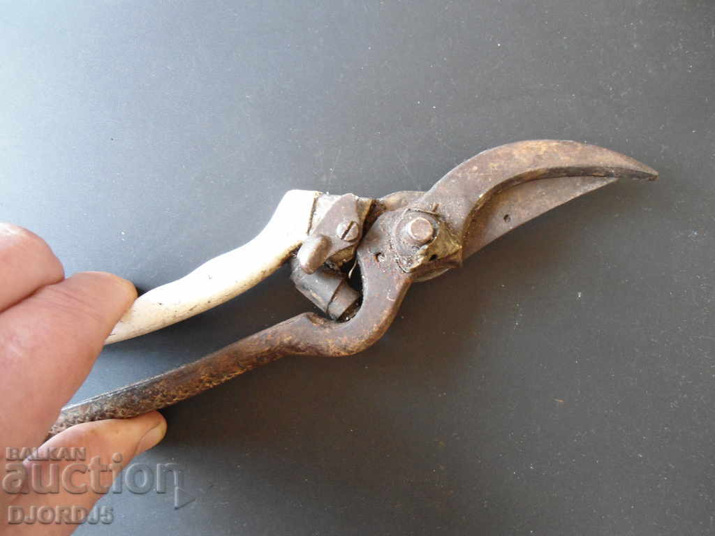 Auction Old viticulture scissors Auction Old viticulture scissors