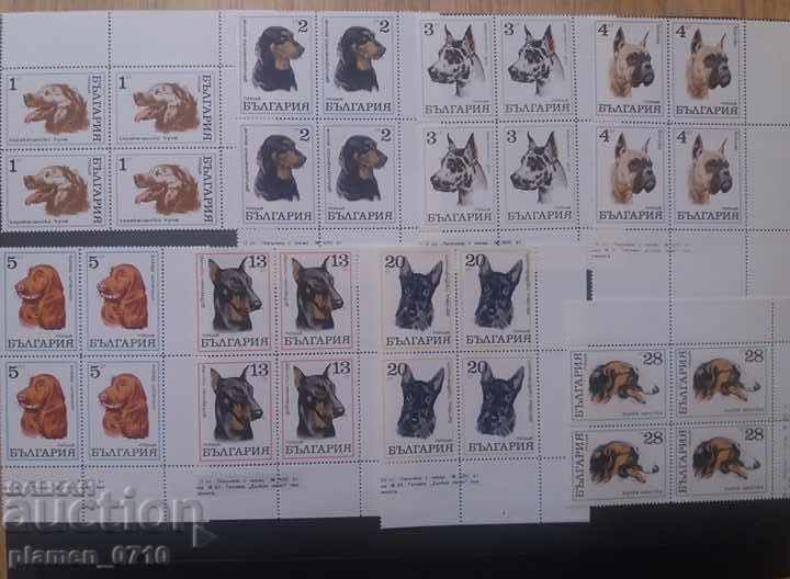 2087 - 2094 Σκύλοι